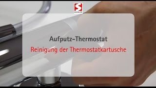 Reinigung einer Thermostatkartusche von Schulte [upl. by Ynitsed]