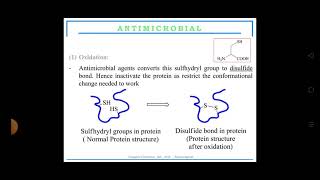 mechanism of action for antimicrobial agents By Ms Deepika [upl. by Newmark]