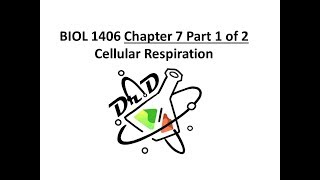 Chapter 7 part 1 of 2 Cellular Respiration [upl. by Ntsuj119]