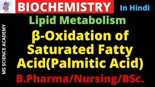 Beta oxidation of Saturated Fatty Acid BiochemistryB Pharmacy BSc  NursingIn Hindi [upl. by Oirifrop724]