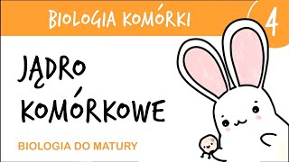 Cytologia 4  Jądro komórkowe  biologia rozszerzona matura liceum przygotowanie do matury z biologi [upl. by Jensen]