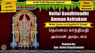 Nellai Gandhimathi Amman Ashtakam  நெல்லை காந்திமதி அம்மன் அஷ்டகம் aadivelli [upl. by Ennovoj693]