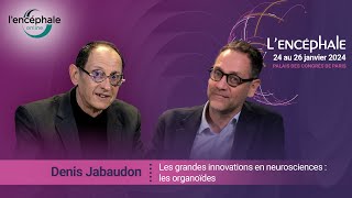 Les grandes innovations en neurosciences  les organoïdes [upl. by Tuchman299]