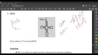 L98 Types of RNA [upl. by Anitniuq]