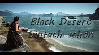 Black Desert  Zwischenszenen [upl. by Ecneralc]