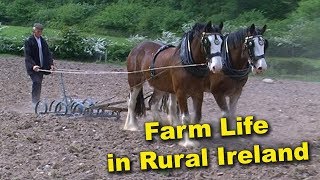 Life on the Farm in Rural Ireland  Videos of Irish Farming Life [upl. by Aneetsirhc304]