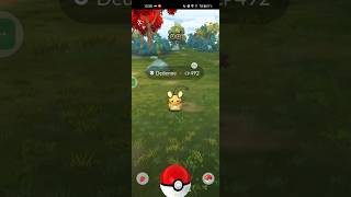 See how I Catch a Dedenne in Pokemon go pokemon [upl. by Atteuqahs843]