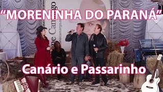 A MORENINHA DO PARANÁquot com CANÁRIO amp PASSARINHO [upl. by Danczyk]