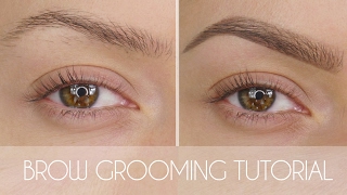 Eyebrow Grooming Tutorial In 6 Steps  Shonagh Scott  ShowMe MakeUp [upl. by Leivad]