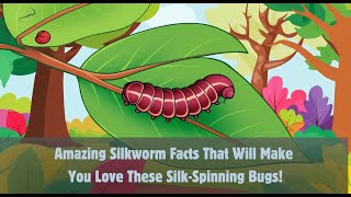 How Do Silkworms Make Silk Discover 10 Fun Facts [upl. by Seravat975]