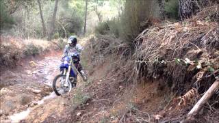 yamaha yz 250 enduro wrz 250 [upl. by Pacien690]