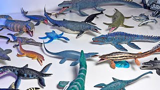 Marine Reptiles Collection  Mosasaurus Kronosaurus Tylosaurus Liopleurodon Elasmosaurus [upl. by Letsyrk107]