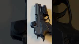 Sig Sauer Romeo X Pro  P226 Legion [upl. by Agn]