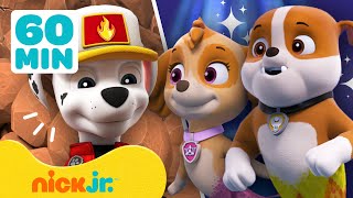 PAW Patrol  Land amp zeereddingen Met Zuma Chase amp Tracker  Compilatie van 60 minuten  Nick Jr [upl. by Sudhir]