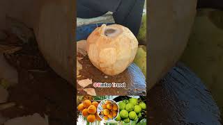 Amazing big coconut water fruit drink water [upl. by Emerald141]