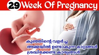 Pregnancy Week by Week Malayalam  29 Weeks Pregnancy Malayalam [upl. by Zaneski]