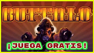 TRAGAMONEDAS BUFFALO GRATIS ► Juegos de Casino Online [upl. by Naryb208]