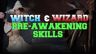 Black Desert PS4  Witch amp Wizard Pre awakening Skill priority and Skill Rotation [upl. by Nadya747]