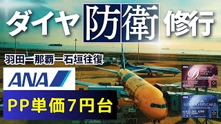 【王道ＡＮＡ修行】１日４レグで羽田ー沖縄ー石垣を往復したら、最後にまさかの飛行機が・・・・。【SVTのSFC修行】 [upl. by Anilram]