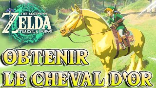 Obtenir le CHEVAL DORÉ de ZELDA  The Legend of Zelda  Tears Of The Kingdom [upl. by Gilcrest316]