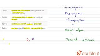 In Phaeophyceae the spores zoospores are  CLASS 12  NTA NEET SET 107  BIOLOGY  Doubtnut [upl. by Libove792]