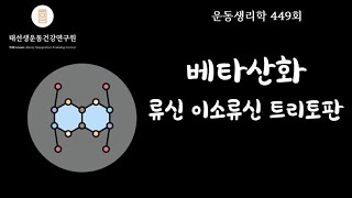 【449회】 유산소시스템베타산화 [upl. by Oiramed]