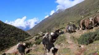 Nepal Sagarmatha National Park Everest Base Camp [upl. by Esydnac145]