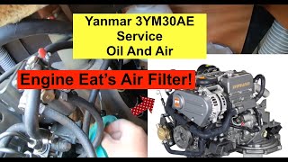 Yanmar 3YM30 Service Part 1 OIL and AIR Filter Change This engine eats its Air filter [upl. by Dowling]