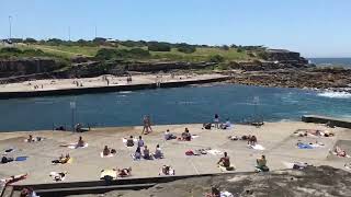 Clovelly is a small beach side suburb in Sydneys Eastern Suburbs Australia [upl. by Elissa416]