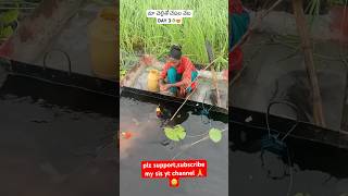 చెల్లితో చేపల వేట 😍🐠Day3🙏fishing fishingvideo villagevlogytshorts villagefishvillagelife [upl. by Elysia]