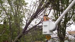 Xcel Energy Minnesota Storm Restoration in 2013 [upl. by Dryfoos234]