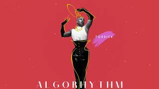 Todrick Hall ALGORHYTHM Official Audio [upl. by Wilterdink]