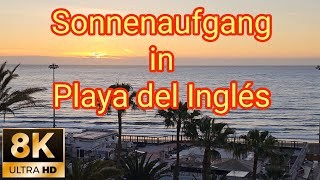 8K Sonnenaufgang in Playa del Inglés gefilmt aus dem Corallium Dunamar Maspalomas Gran Canaria [upl. by Rekyr829]