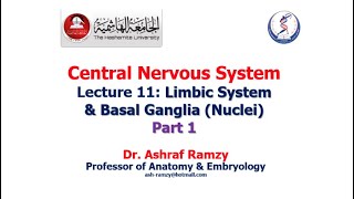 Lecture 11  Limbic System amp Basal Ganglia nuclei Part 1  CNS [upl. by Harelda]