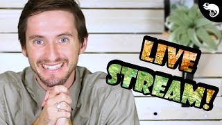 Clints Reptiles QampA Livestream [upl. by Myrlene]