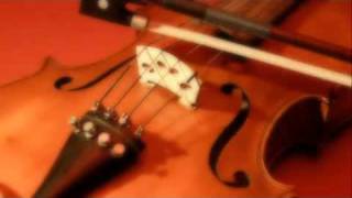 Antonio Vivaldi 16781741  Sonata per violino e bc Op2 No10 in fa minore RV 21 [upl. by Einniw]