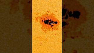 Intensifying Sunspots AR3780 shorts science space [upl. by Amalle]