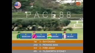 20241109 Race 4 Malaysia Penang Horse Racing Highlights  Pace88 Horse [upl. by Yatnohs218]