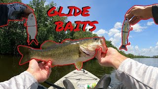 Bass Fishing With BIG Glide Baits [upl. by Sivolc419]