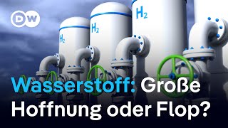 Hoffnungsträger grüner Wasserstoff Hohe Kosten fehlende Infrastruktur  DW Nachrichten [upl. by Caroline]