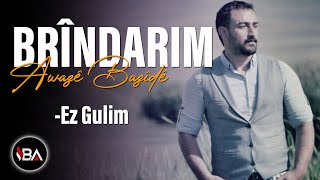 Awazê Bazîde  Ez Gulim  Brîndarim Official Music Gulim Gula Ber Bihare [upl. by Mcgraw]