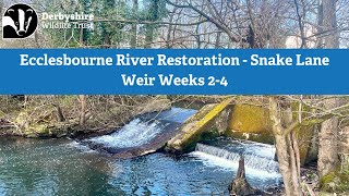 Ecclesbourne River Restoration  Snake Lane Weir Weeks 24 [upl. by Vachel164]