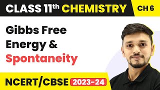 Class 11 Chemistry Chapter 6  Gibbs Free Energy amp Spontaneity  Thermodynamics Class 11 CBSENCERT [upl. by Naresh]