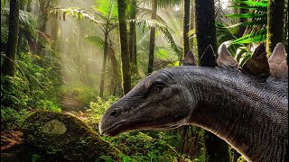 Stegosaurus Facts You Didnt Know [upl. by Haddad]