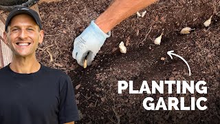 Planting Garlic for Next Summer  Gardening with Wyse Guide [upl. by Namzzaj]