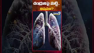 చంద్రుని పై మట్టి విషమా  Soil on the Moon Poison  Prime9infotainment [upl. by Claudie]