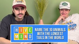 Guessing The 10 Animals With The Longest Tails in The World [upl. by Mcarthur]