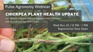 Pulse Agronomy Webinar Chickpea Plant Health Update [upl. by Norda766]