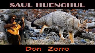 Saul Huenchul  Don Zorro [upl. by Hanny157]