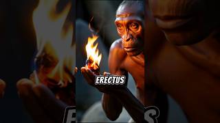 The Rise of Homo erectus history [upl. by Lertsek297]